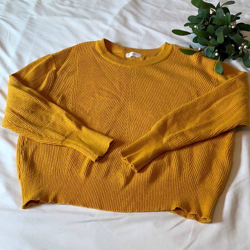 Nordstrom Elodie Sweater